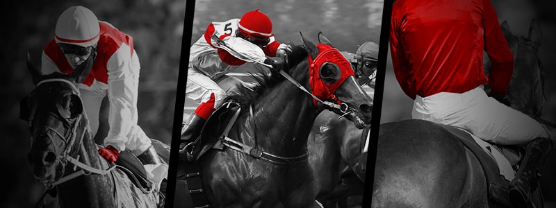 Horse racing betting odds