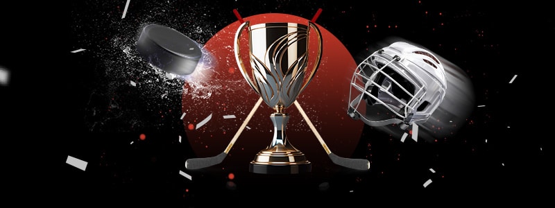 hockey puck, helmet, sticks, and trophy