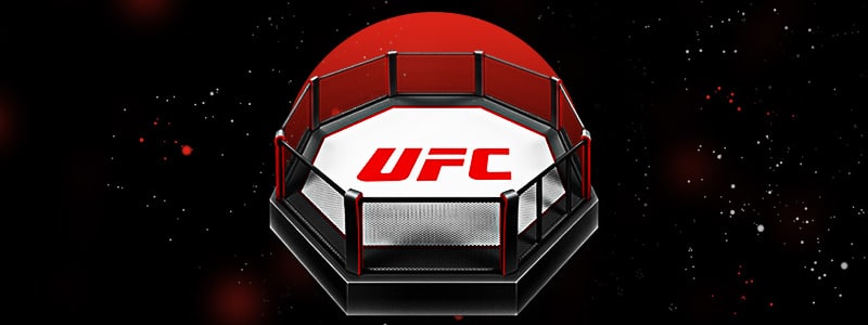 ufc fighting ring